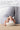 Elecom Shellpha Bluetooth | Elecom Shellpha Bluetooth Wireless Mouse Silent Click Ergonomic 5 Programmable Buttons Connect Up To 3 Devices 2 4Ghz Usb Multi Device Connection 2000 Dpi Pc Laptop Mac Mouse White 