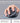 Elecom Bluetooth Wireless | Elecom Bluetooth Wireless Ergonomic Shape Mouse Silent Click Right Hand 2000Dpi 5 Buttons Optocal Sensor Compatible With Pc Mac Laptop Ex G Ssize Black M Xgs30Bbskbk 