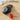 Nulea M505B Wireless | Nulea M505B Wireless Trackball Mouse Rechargeable Ergonomic Rgb Rollerball Mouse Easy Index Finger Control With 5 Adjustable Dpi 3 Device Connection For Pc Laptop Ipad Mac Windows Android