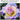 Ifwater 5Mp Usb | Ifwater 5Mp Usb Camera Global Shutter 1944P 50Fps High Speed Usb Webcam 3 6 10Mm 3X Manual Zoom Lens Computer Lightburn Close Up For Motion Capture Face Recognition Qr Codes Scanning