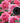 Elp 16Mp Autofocus | Elp 16Mp Autofocus Usb Camera With Metal Case Mini Uvc Usb2 0 4K Webcam With 68 No Distortion Lens Imx298 Sensor For Pc Home Surveillance