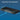 24 Port Gigabit Poe Switch With 2 Uplink Gigabit 2 Sfp Ports 24 Port Ethernet Poe Switch Unmanaged W 320W High Power Support Ieee802 3Af At Vlan Rack Mount Sturdy Metal Housing by  Buy 24 Port Gigabit Poe Switch With 2 Uplink Gigabit 2 Sfp Ports 24 Port Ethernet Poe Switch Unmanaged W 320W High Power Support Ieee802 3Af At Vlan Rack Mount Sturdy Metal Housing Online Best Price Premium Quality