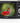 Minolta Mnd20 44Mp Digital Camera 2 7K Uhd Video 16X Zoom Anti Shake Time Lapse Face Detection 2 9 Lcd Compact Lightweight Black – Buy Minolta Mnd20 44Mp Digital Camera 2 7K Uhd Video 16X Zoom Anti Shake Time Lapse Face Detection 2 9 Lcd Compact Lightweight Black Online at Best Price, Premium Quality Product for Home, Office & Daily Use