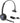 Leitner LH470, Wireless Computer Headset with Microphone, Zoom and Teams Headset, DECT USB Dongle Headset for Softphone, Computer, Laptop, and Tablet, Single or Dual-Ear Wearing Style