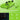 8Bitdo Ultimate 2 Wireless 2.4G Controller (TMR Joystick Update), Star-Ring RGB Lights, Adjustable Trigger Locks, Gamepad with Charging Dock for Windows PC, Android (Green)_144