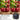 Magnolia 1.3MP Low Light USB Camera Module Wide Angle Webcam with 180 Degree Fisheye Lens AR0130 Mini Lightburn Camera Embedded Industrial Webcam Board for Raspberry Pi,Jetson Nano