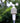 Acurite 00634A3 Wireless Weather Station With Wind Sensor Black – Buy Acurite 00634A3 Wireless Weather Station With Wind Sensor Black Online at Best Price, Premium Quality Product for Home, Office & Daily Use