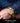 Treehut Wooden Watches For Men Maple Burl Bamboo Watch Japanese Quartz Movement Seoras Stylish Exotic Wrist Chicas Watch With Adjustable Stainless Steel Buckle And Box Relojes Para Hombre – Buy Treehut Wooden Watches For Men Maple Burl Bamboo Watch Japanese Quartz Movement Seoras Stylish Exotic Wrist Chicas Watch With Adjustable Stainless Steel Buckle And Box Relojes Para Hombre Online at Best Price, Premium Quality Product for Home, Office & Daily Use