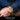 Treehut Wooden Watches For Men Maple Burl Bamboo Watch Japanese Quartz Movement Seoras Stylish Exotic Wrist Chicas Watch With Adjustable Stainless Steel Buckle And Box Relojes Para Hombre – Buy Treehut Wooden Watches For Men Maple Burl Bamboo Watch Japanese Quartz Movement Seoras Stylish Exotic Wrist Chicas Watch With Adjustable Stainless Steel Buckle And Box Relojes Para Hombre Online at Best Price, Premium Quality Product for Home, Office & Daily Use