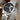 DREAMING Q&P Stainless Steel His and Hers Wrist Watches (Black & White)