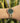 Anne Klein Women S Premium Crystal Accented Gold Tone Bracelet Watch Ak 2230Gngb by  – Buy Anne Klein Women S Premium Crystal Accented Gold Tone Bracelet Watch Ak 2230Gngb Online at Best Price, Premium Quality Product for Home, Office & Daily Use