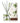 Premium Fragrance Diffuser Set | Thymes Frasier Fir Reed | High Quality Fragrance Oil | Luxury Home Decor by Usa Warehouse – Buy Premium Fragrance Diffuser Set | Thymes Frasier Fir Reed | High Quality Fragrance Oil | Luxury Home Decor Online at Best Price, Premium Quality Product for Home, Office & Daily Use