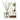 Premium Fragrance Diffuser Set | Thymes Frasier Fir Reed | High Quality Fragrance Oil | Luxury Home Decor by Usa Warehouse – Buy Premium Fragrance Diffuser Set | Thymes Frasier Fir Reed | High Quality Fragrance Oil | Luxury Home Decor Online at Best Price, Premium Quality Product for Home, Office & Daily Use