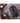 Rii Wireless Mouse 2 4G Portable Computer Mice For Pc Laptop Windows Office Included Wireless Usb Dongle Black by  – Buy Rii Wireless Mouse 2 4G Portable Computer Mice For Pc Laptop Windows Office Included Wireless Usb Dongle Black Online at Best Price, Premium Quality Product for Home, Office & Daily Use