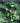 Stereo Gaming Headset | Stereo Gaming Headset With Microphone For Ps5 Ps4 Xbox One Switch Pc Mac Wired Over Ear Headphones With Surround Sound Soft Memory Foam Noise Canceling Mic Light 3 5Mm Jack Green