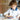 Secura 60 Minute Visual Timer Classroom Timer Countdown Timer For Kids And Adults Time Management Tool For Teaching Blue Blue by  – Buy Secura 60 Minute Visual Timer Classroom Timer Countdown Timer For Kids And Adults Time Management Tool For Teaching Blue Blue Online at Best Price, Premium Quality Product for Home, Office & Daily Use