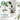 Houseplant Health Meter 3 In 1 Tool To Prevent Overwatering Root Rot Leaf Burn Test Soil Moisture Sunlight Ph Simple Easy Battery Free Suitable For Indoor Outdoor Potted Plants by  – Buy Houseplant Health Meter 3 In 1 Tool To Prevent Overwatering Root Rot Leaf Burn Test Soil Moisture Sunlight Ph Simple Easy Battery Free Suitable For Indoor Outdoor Potted Plants Online at Best Price, Premium Quality Product for Home, Office & Daily Use
