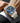 Olevs Watch Men Automatic Watches For Men Self Winding Luxury Chronograph Mens Watch Mechanical Skeleton Sports Dress Analog Wrist Watches Big Blue Face Silver And Gold Stainless Steel Relojes Automticos Para Hombre Originales by  – Buy Olevs Watch Men Automatic Watches For Men Self Winding Luxury Chronograph Mens Watch Mechanical Skeleton Sports Dress Analog Wrist Watches Big Blue Face Silver And Gold Stainless Steel Relojes Automticos Para Hombre Originales Online at Best Price, Premium Quality Product fo