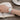 Top Plaza Womens Ladies Fashion Grey Leather Wrist Watch Elegant Simple Butterfly With Floated Rhinestones Analog Quartz Dress Watch Green Butterfly – Buy Top Plaza Womens Ladies Fashion Grey Leather Wrist Watch Elegant Simple Butterfly With Floated Rhinestones Analog Quartz Dress Watch Green Butterfly Online at Best Price, Premium Quality Product for Home, Office & Daily Use