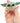 Bitty Boomers Star | Bitty Boomers Star Wars The Mandalorian Grogu Mini Bluetooth Speaker Multicolored