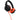 Pioneer Dj Hc | Pioneer Dj Hc Cp08 M Cue1 Series Ear Pad And Cord Orange