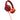 Pioneer Dj Hc | Pioneer Dj Hc Cp08 M Cue1 Series Ear Pad And Cord Orange