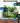Digital Combo Ph Temperature Meter Aquarium Thermometer Ph Monitor With Automatic Calibration Function For Fish Tank Hydroponics Aquaculture Laboratory by  – Buy Digital Combo Ph Temperature Meter Aquarium Thermometer Ph Monitor With Automatic Calibration Function For Fish Tank Hydroponics Aquaculture Laboratory Online at Best Price, Premium Quality Product for Home, Office & Daily Use