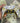 Moddedzone Custom Wireless Controller Compatible With Ps5 Exclusive Unique Designs Personalize Your Gaming Experience And Exceptional Performance Compatible With Playstation 5 Gold Money by  – Buy Moddedzone Custom Wireless Controller Compatible With Ps5 Exclusive Unique Designs Personalize Your Gaming Experience And Exceptional Performance Compatible With Playstation 5 Gold Money Online at Best Price, Premium Quality Product for Home, Office & Daily Use