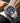 Olevs Men Automatic Watch Skeleton 5 Hands Mechanical Blue Classic Luxury Multi Calendar Stainless Steel Waterproof Wrist For by  – Buy Olevs Men Automatic Watch Skeleton 5 Hands Mechanical Blue Classic Luxury Multi Calendar Stainless Steel Waterproof Wrist For Online at Best Price, Premium Quality Product for Home, Office & Daily Use