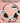 Bulk Headsets With | Bulk Headsets With Microphone 10 Pack Noise Canceling Computer Headset For Office Meetings Chat Comfortable Over Ear Pc Headphones With Rotating Mic 3 5 Jack For Universal Connectivity