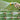 Fanhao Garden Hose Nozzle Sprayer 100 Heavy Duty Metal Water Hose Sprayer With 7 Spray Patterns High Pressure Spray Nozzle For Watering Plants Lawns Washing Cars Pets – Buy Fanhao Garden Hose Nozzle Sprayer 100 Heavy Duty Metal Water Hose Sprayer With 7 Spray Patterns High Pressure Spray Nozzle For Watering Plants Lawns Washing Cars Pets Online at Best Price, Premium Quality Product for Home, Office & Daily Use
