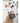 Montana West 3Pcs Purses For Women Tote Bag And Wallet Set Shoulder Satchel Crossbody Bags Leather Handbag For Gift Travel Casual Work Mwc3 C032Wcf – Buy Montana West 3Pcs Purses For Women Tote Bag And Wallet Set Shoulder Satchel Crossbody Bags Leather Handbag For Gift Travel Casual Work Mwc3 C032Wcf Online at Best Price, Premium Quality Product for Home, Office & Daily Use