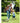 Dekco 2K Security Camera Outdoor 2Packs Wifi Outdoor Security Cameras Pan Tilt 360 View 3Mp Surveillance Cameras With Motion Detection And Siren 2 Way Audio Full Color Night Vision Waterproof – Buy Dekco 2K Security Camera Outdoor 2Packs Wifi Outdoor Security Cameras Pan Tilt 360 View 3Mp Surveillance Cameras With Motion Detection And Siren 2 Way Audio Full Color Night Vision Waterproof Online at Best Price, Premium Quality Product for Home, Office & Daily Use