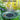 GAIZERL Solar Bird Bath Fountains Upgraded, 4W Solar Powered Water Fountain Pump with 4000 Battery, 7 Nozzles & 4 Fixers, Colorful LED Lights for Garden, Pond, Swimming Pool, Fish Tank, and Outdoor