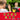 Ekids Pokemon Kids Camera With Sd Card Digital Camera For Kids With Video Recording And Built In Digital Stickers Great Stocking Stuffers For Kids by  – Buy Ekids Pokemon Kids Camera With Sd Card Digital Camera For Kids With Video Recording And Built In Digital Stickers Great Stocking Stuffers For Kids Online at Best Price, Premium Quality Product for Home, Office & Daily Use