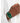 Lacoste Crocodelle Women S Quartz Green Tr90 Case With Green Silicone Strap Model 2001247 by  – Buy Lacoste Crocodelle Women S Quartz Green Tr90 Case With Green Silicone Strap Model 2001247 Online at Best Price, Premium Quality Product for Home, Office & Daily Use