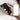 Bose Professional Vb S All In One Video Conference Hd Camera Noise Reducing Mic And Hi Fidelity Bluetooth Speaker For Home Office Or Classroom by  – Buy Bose Professional Vb S All In One Video Conference Hd Camera Noise Reducing Mic And Hi Fidelity Bluetooth Speaker For Home Office Or Classroom Online at Best Price, Premium Quality Product for Home, Office & Daily Use