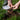 Backyard Compost Thermometer 16 Inch(No Batteries), Stainless Steel Soil Testing Thermometer, Easily Monitor The Temperature in Compost Bin, Ideal for Outdoor Use(16'')