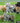Usb Camera 1080P | Usb Camera 1080P High Speed 260Fps 2 8 12Mm 4X Optical Zoom Lens 2Mp Usb Webcam Manual Close Up Zoom In And Out Uvc Computer Comference Golf Swing Camera For Raspberry Pi Windows Mac