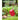 NOTABRICK Bluetooth Speakers, 15W Portable Speakers Bluetooth Wireless V5.0 with Stereo Sound, Active Extra Bass, IPX6 Waterproof Shower Speaker, Double Pairing, for Party, Home Theater, Game Theater