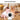 BJR Indoor Security Camera 2K HD, 360 Pan Tilt Pet Camera with Dual-Band WiFi (5G 2.4G), Motion Tracking, Color Night Vision, 2-Way Talk, Free 64GB SD Card Included for Home Baby Monitor