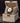 Bobo Bird Mens Wooden Watch Analog Quartz With Week Display Lightweight Handmade Wood Wrist Watch For Men Glod – Buy Bobo Bird Mens Wooden Watch Analog Quartz With Week Display Lightweight Handmade Wood Wrist Watch For Men Glod Online at Best Price, Premium Quality Product for Home, Office & Daily Use
