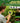 Borescope Camera With Light For Kids Stem Science Educational Toy For 4 5 6 7 8 9 10 12 Years Old Boys Girls Birthday Gift For Outdoor Adventures Nature Discovery Yellow by  – Buy Borescope Camera With Light For Kids Stem Science Educational Toy For 4 5 6 7 8 9 10 12 Years Old Boys Girls Birthday Gift For Outdoor Adventures Nature Discovery Yellow Online at Best Price, Premium Quality Product for Home, Office & Daily Use