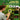 Borescope Camera With Light For Kids Stem Science Educational Toy For 4 5 6 7 8 9 10 12 Years Old Boys Girls Birthday Gift For Outdoor Adventures Nature Discovery Yellow by  – Buy Borescope Camera With Light For Kids Stem Science Educational Toy For 4 5 6 7 8 9 10 12 Years Old Boys Girls Birthday Gift For Outdoor Adventures Nature Discovery Yellow Online at Best Price, Premium Quality Product for Home, Office & Daily Use