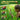 Borescope Camera With Light For Kids Stem Science Educational Toy For 4 5 6 7 8 9 10 12 Years Old Boys Girls Birthday Gift For Outdoor Adventures Nature Discovery Yellow by  – Buy Borescope Camera With Light For Kids Stem Science Educational Toy For 4 5 6 7 8 9 10 12 Years Old Boys Girls Birthday Gift For Outdoor Adventures Nature Discovery Yellow Online at Best Price, Premium Quality Product for Home, Office & Daily Use