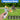 Anti Barking Device With Training Deterrent Modes Anti Barking Device Ultrasonic Dog Barking Deterrent With Led Flashlight Portable Indoor Outdoor Dog Training Behavior Aids – Buy Anti Barking Device With Training Deterrent Modes Anti Barking Device Ultrasonic Dog Barking Deterrent With Led Flashlight Portable Indoor Outdoor Dog Training Behavior Aids Online at Best Price, Premium Quality Product for Home, Office & Daily Use