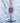 Bestkang Women S Watch Luxury Petal Casual Bracelet Watch Simulated Quartz Watches For Women Purple by  – Buy Bestkang Women S Watch Luxury Petal Casual Bracelet Watch Simulated Quartz Watches For Women Purple Online at Best Price, Premium Quality Product for Home, Office & Daily Use