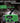 5000Mah Hand Crank Emergency Weather Radio Am Fm Noaa Solar Radio With Led Flashlight And Earphone Jack Charger For Smartphone Usb C Cable Self Powered With Sos Alarm Green – Buy 5000Mah Hand Crank Emergency Weather Radio Am Fm Noaa Solar Radio With Led Flashlight And Earphone Jack Charger For Smartphone Usb C Cable Self Powered With Sos Alarm Green Online at Best Price, Premium Quality Product for Home, Office & Daily Use