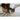 Hairitage Volumizing One Step Blow Dry Brush Hair Dryer For Curling Straightening Ceramic Tourmaline Blowout Brush Volumizer Hair Styler For Smooth Shiny Frizz Free Styles Matte Grey – Buy Hairitage Volumizing One Step Blow Dry Brush Hair Dryer For Curling Straightening Ceramic Tourmaline Blowout Brush Volumizer Hair Styler For Smooth Shiny Frizz Free Styles Matte Grey Online at Best Price, Premium Quality Product for Home, Office & Daily Use