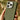 Otterbox Iphone 15 Pro Max Symmetry Series Cactus Leather For Magsafe Cactus Grove Green Snaps To Magsafe Ultra Sleek Raised Edges Protect Camera Screen by  – Buy Otterbox Iphone 15 Pro Max Symmetry Series Cactus Leather For Magsafe Cactus Grove Green Snaps To Magsafe Ultra Sleek Raised Edges Protect Camera Screen Online at Best Price, Premium Quality Product for Home, Office & Daily Use